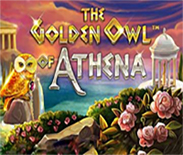 The Golden Owl of Athena